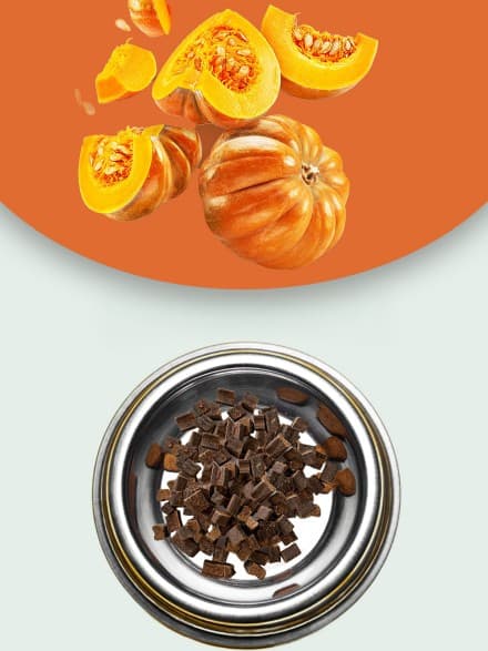 Beef Liver Pumpkin Dog Treats