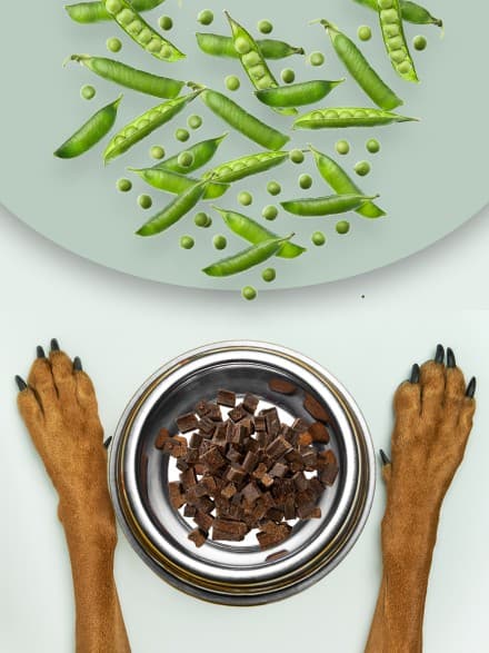 Beef Liver Peas Dog Treats