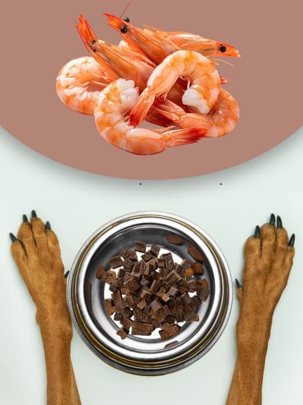 Beef Liver Shrimp Dog Treats