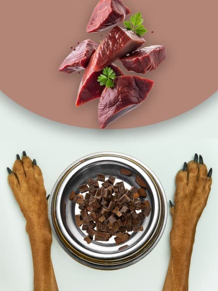 Liver Treats