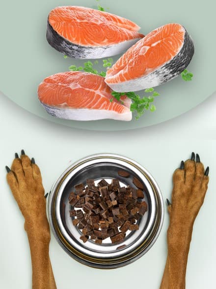 Beef Liver Salmon Dog Treats