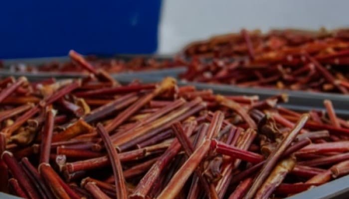 Mass Production Special for You